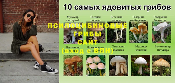 прущие грибы Арсеньев