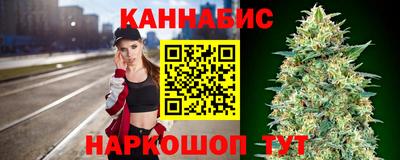 индика Обь