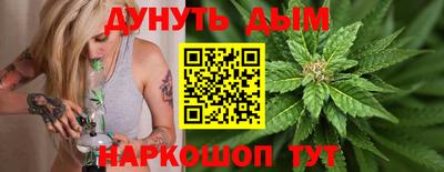 индика Обь