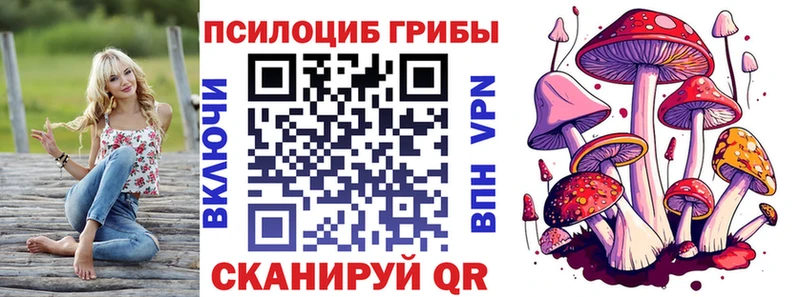 OMG как войти  Ульяновск  Псилоцибиновые грибы Magic Shrooms 